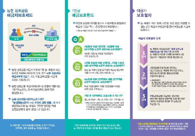 2015년 예금자보호제도 안내장 대표 이미지